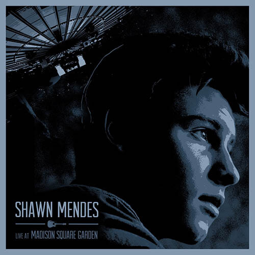 Live at Madison Square Garden / Shawn Mendes