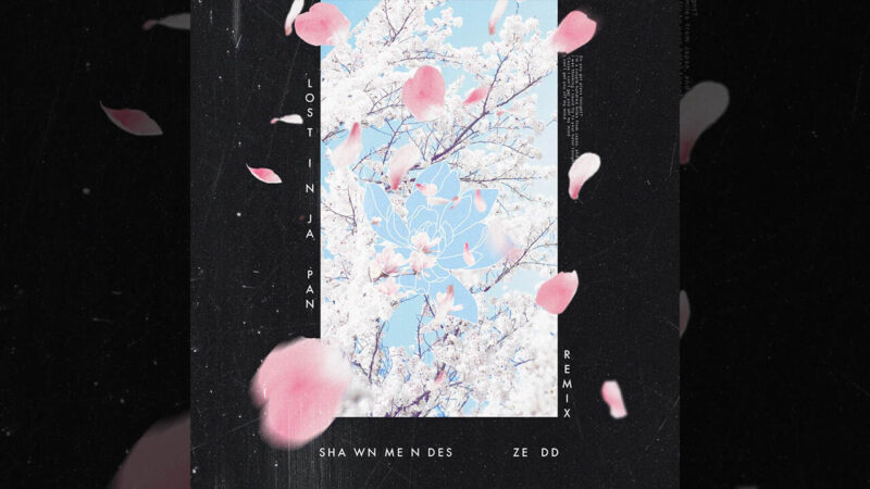 Lost In Japan (Remix) 歌詞・カタカナ・動画 Shawn Mendes, Zedd【解説つき】