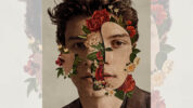 If I Can't Have You 歌詞・和訳・カタカナ・動画 Shawn Mendes【解説つき】