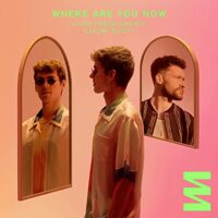 Lost Frequencies ft. Calum Scott - Where Are You Now