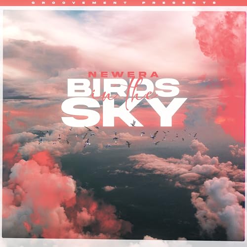 NewEra – Birds In The Sky