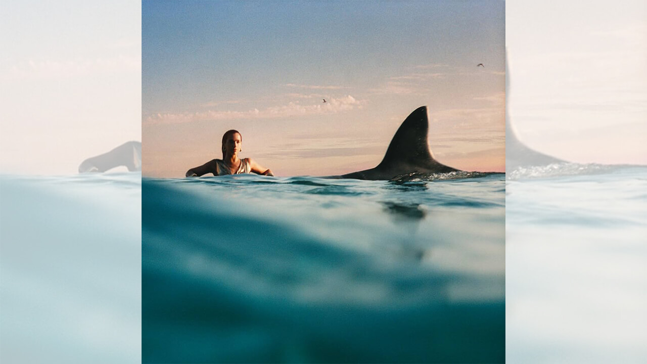 Dua Lipa「Training Season」歌詞カタカナ・動画・解説まとめ | 洋楽まっぷ