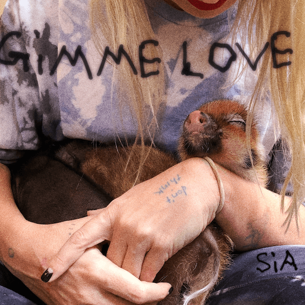 Sia「Gimme Love」