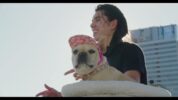 グリフィンが屋上で愛犬とともに「Tie Me Down」をプレイする映像が公開。楽曲ヒットを記念してアルバムがプライスオフ